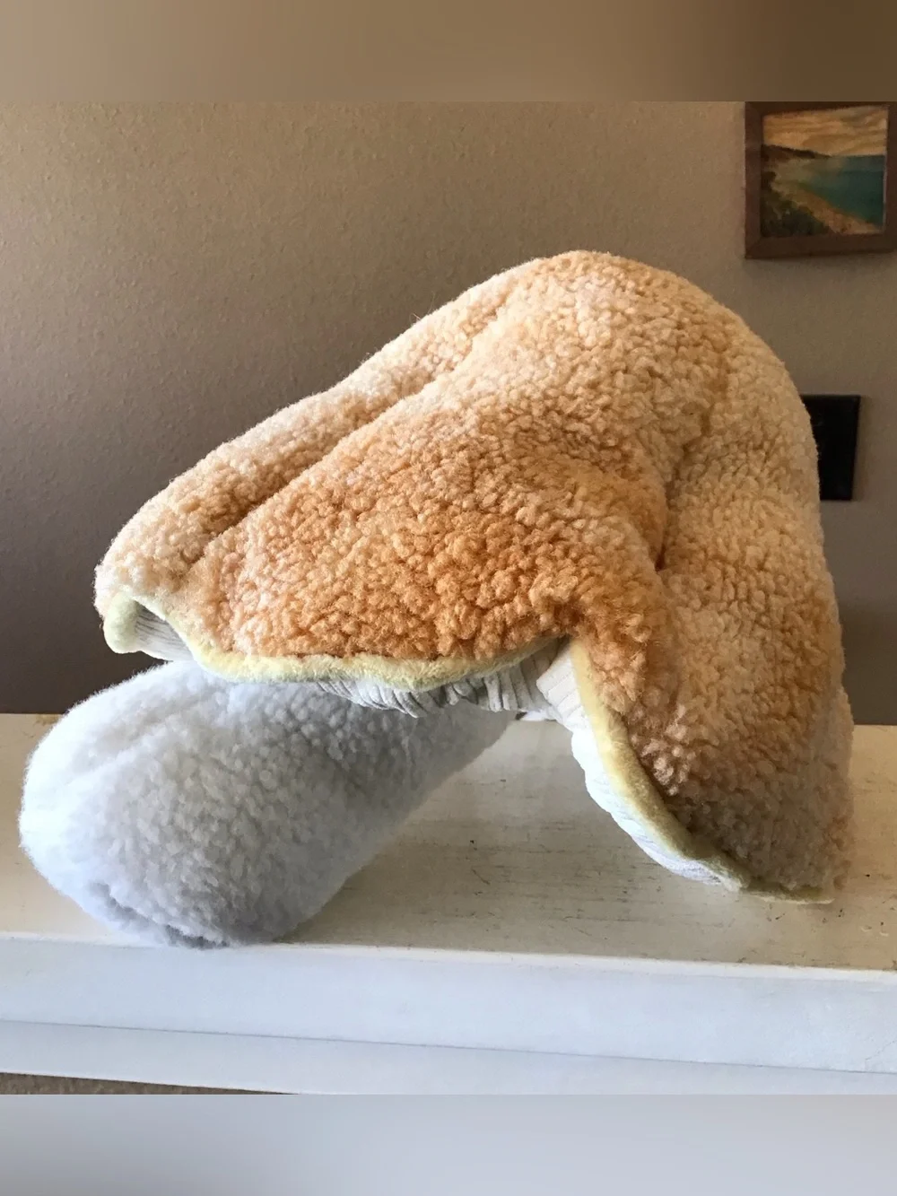 NEW Plush Mushroom Accent Pillow Decor